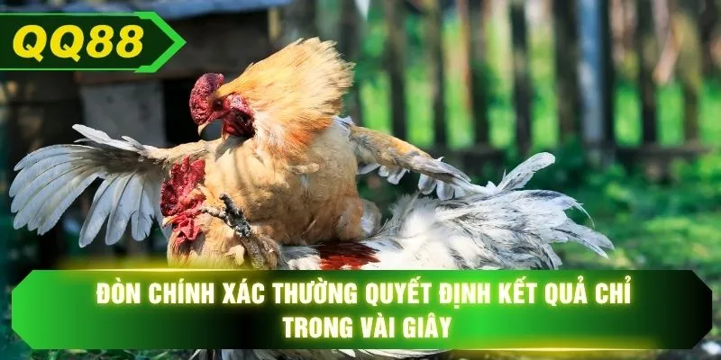 Đòn chính xác thường quyết định kết quả chỉ trong vài giây